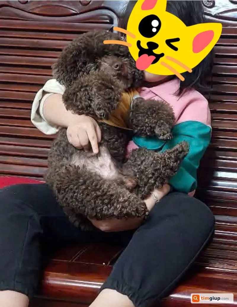 Ảnh 3