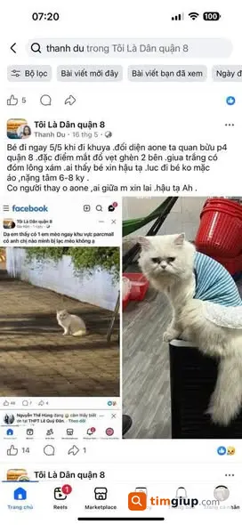 Ảnh 4