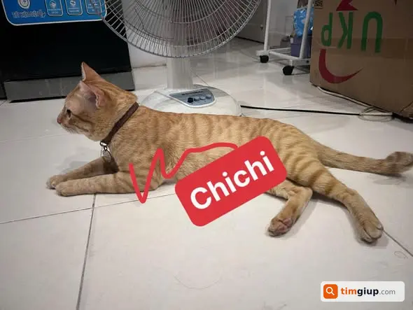 Ảnh 3
