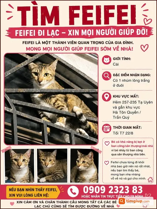 Feifei Mèo Cái Thất Lạc Khu Vực Tạ Uyên, Quận 11