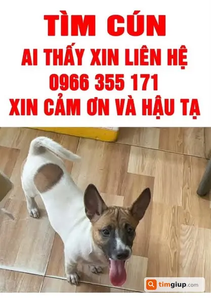 Tìm Chó Thất Lạc Giới Tính Đực Tại Cầu Phú Mỹ, Quận 7