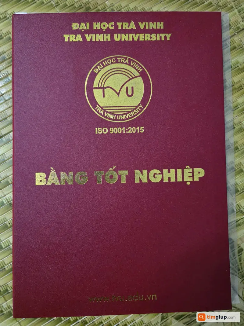 Ảnh 2