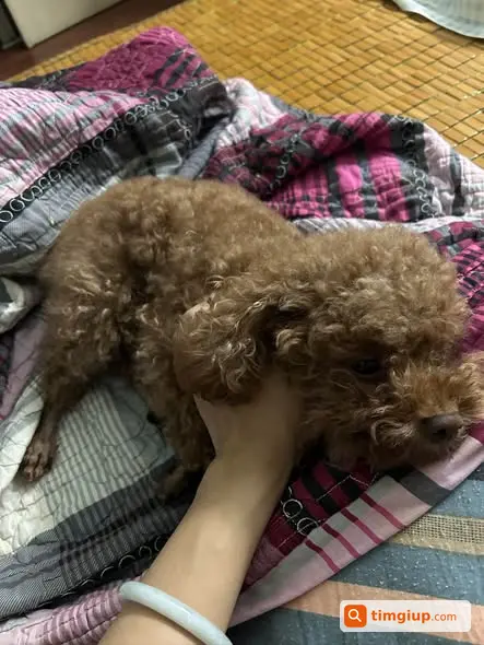 Ảnh 3