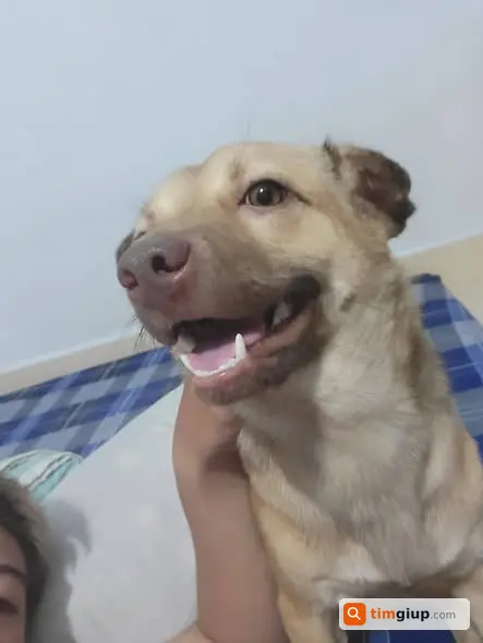 Ảnh 2