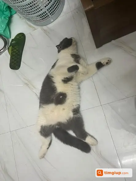 Ảnh 4