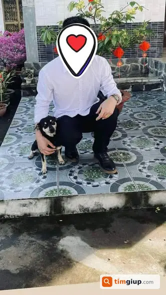 Nhờ tìm chó cái lông đen có vệt trắng tại Vị Thanh, Cần Thơ