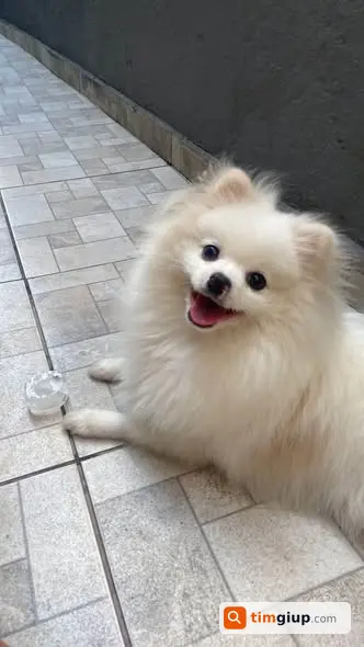 Ảnh 2