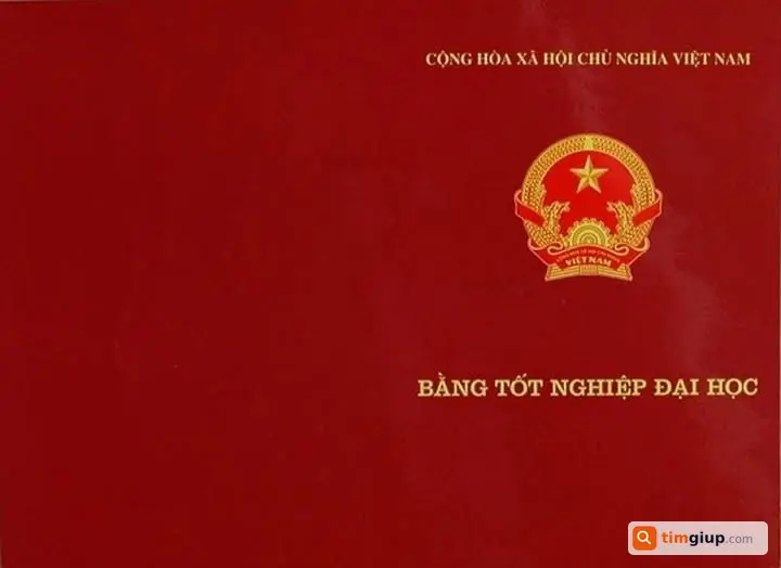 Tìm bằng tốt nghiệp đại học thất lạc khu Đỗ Xuân Hợp, TP.HCM