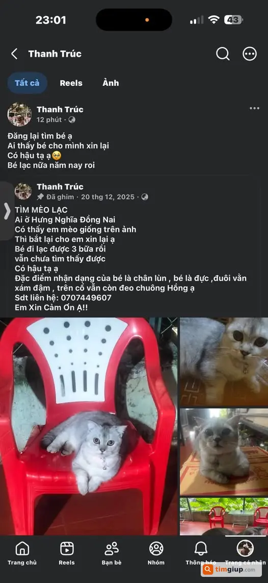 Tìm chó thất lạc gần nhà nghỉ Ngọc Phát, Hưng Lộc Đồng Nai