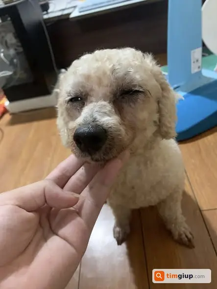 Ảnh 3