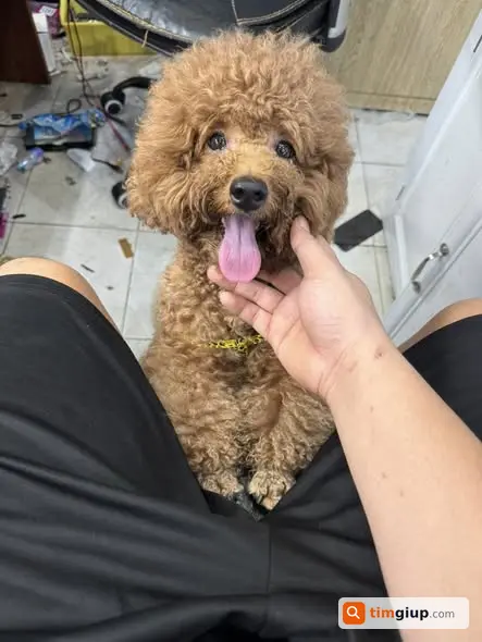 Ảnh 5