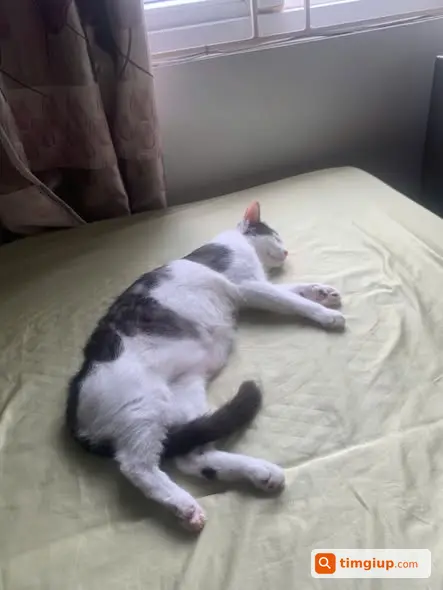 Ảnh 5