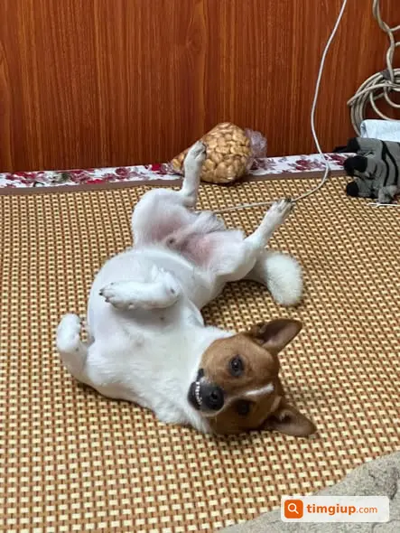 Ảnh 2