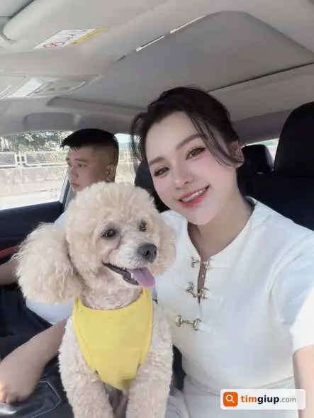 Ảnh 2