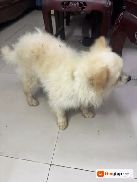 Ảnh 3