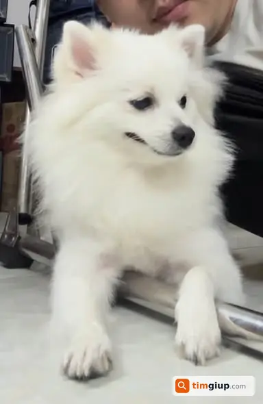 Ảnh 2