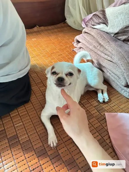 Ảnh 5