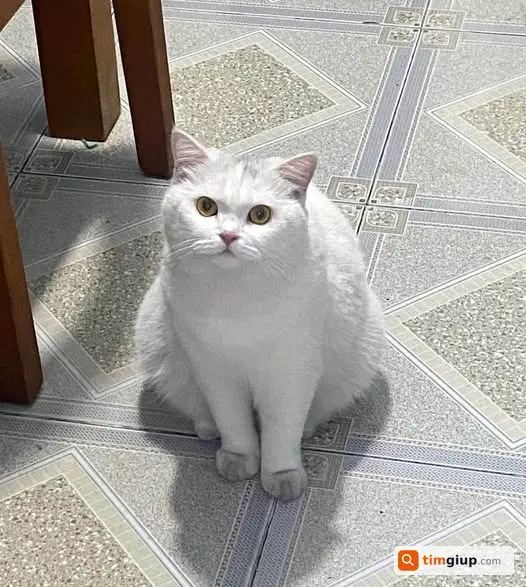 Ảnh 3