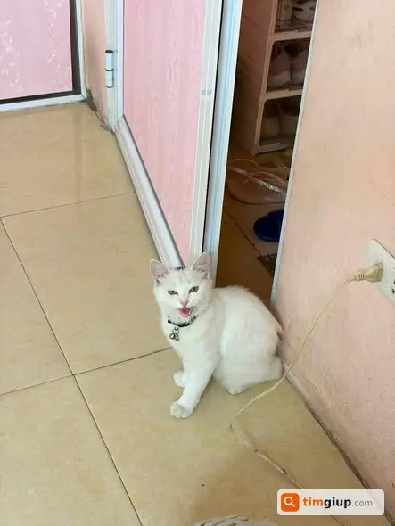 Ảnh 3