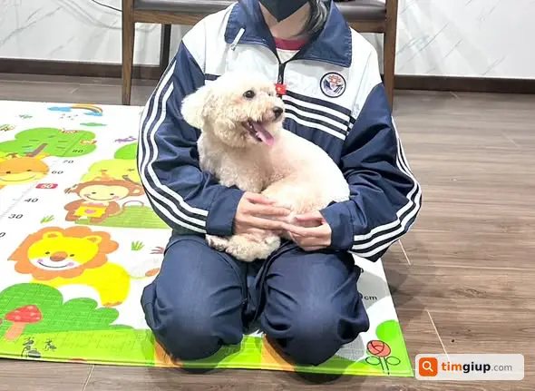 Ảnh 3