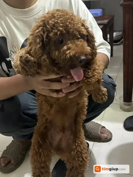 Ảnh 5