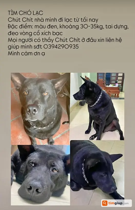 Nhờ liên hệ số 0394290935, có hậu tạ tại Hà Nội mong mọi người hỗ trợ