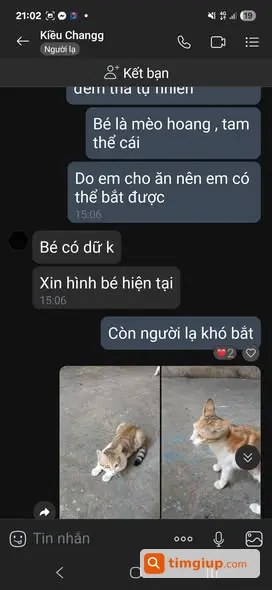 Ảnh 5