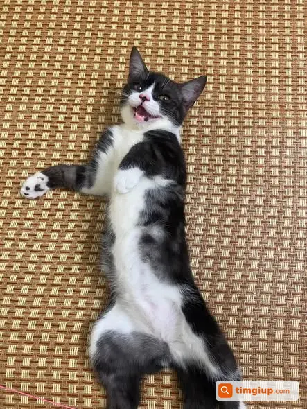 Ảnh 2