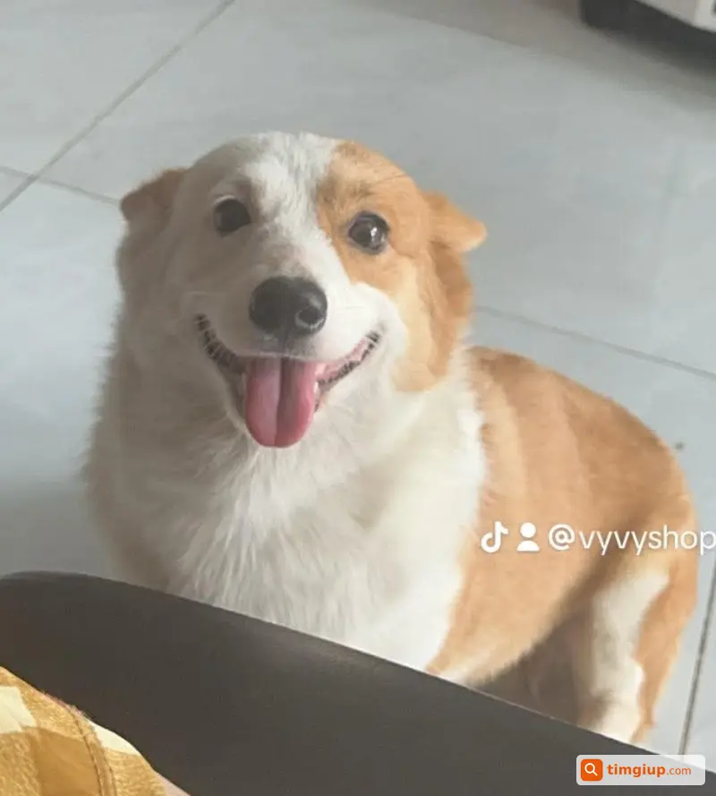 Ảnh 3