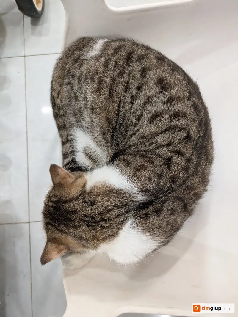Ảnh 3