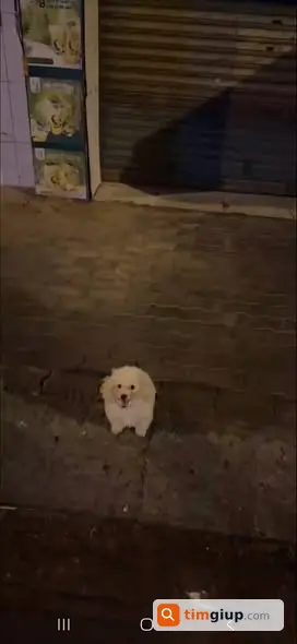 Ảnh 2