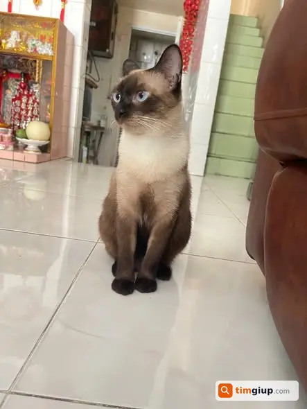 Ảnh 2
