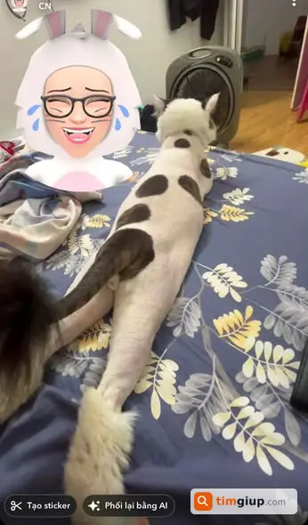 Ảnh 3