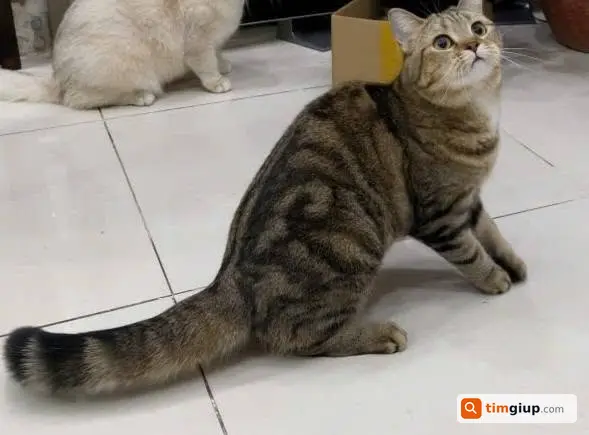 Ảnh 2