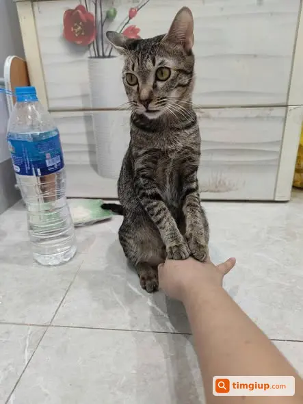 Ảnh 2