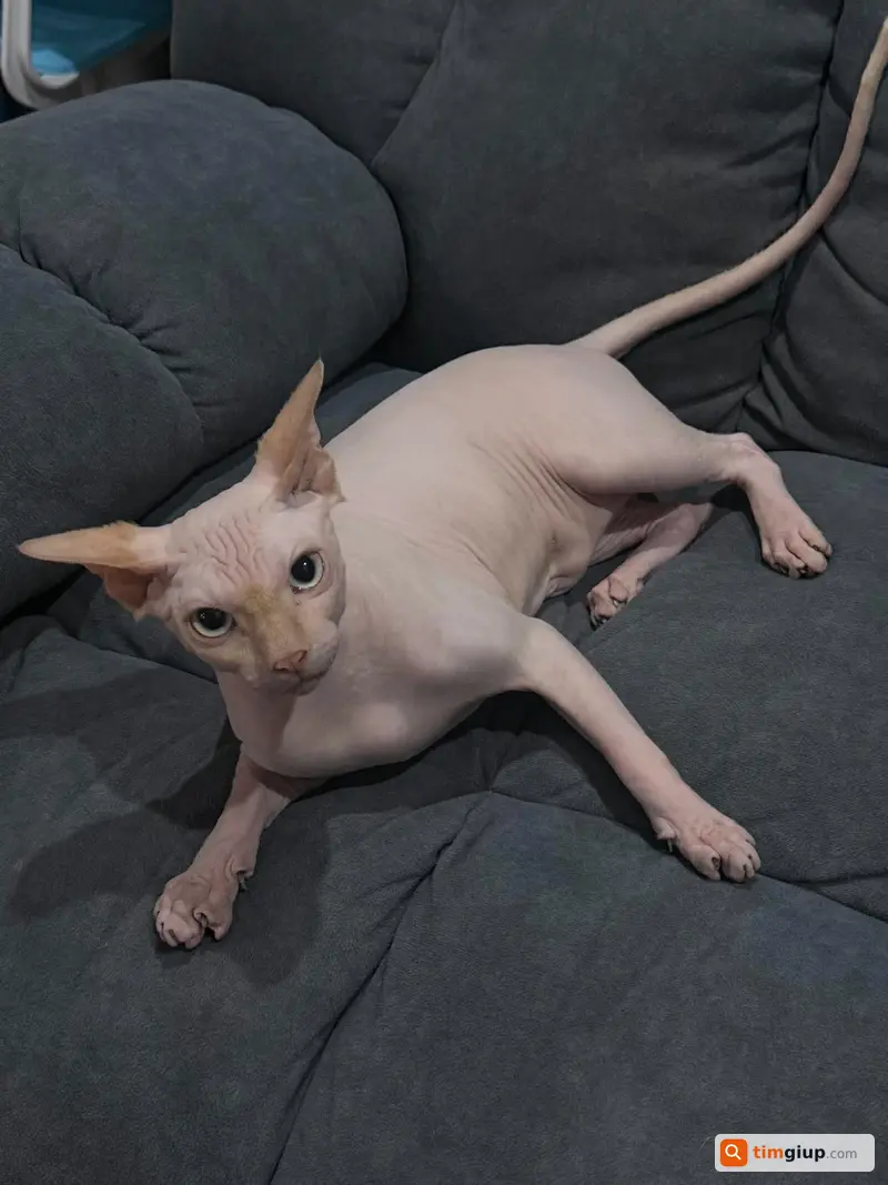 Ảnh 3