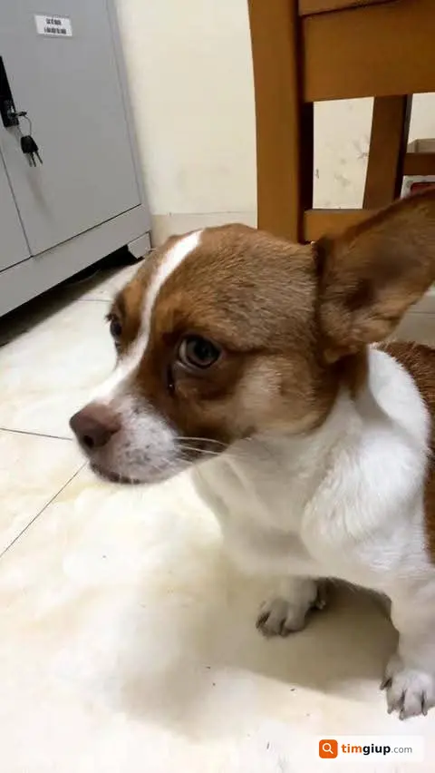 Ảnh 2