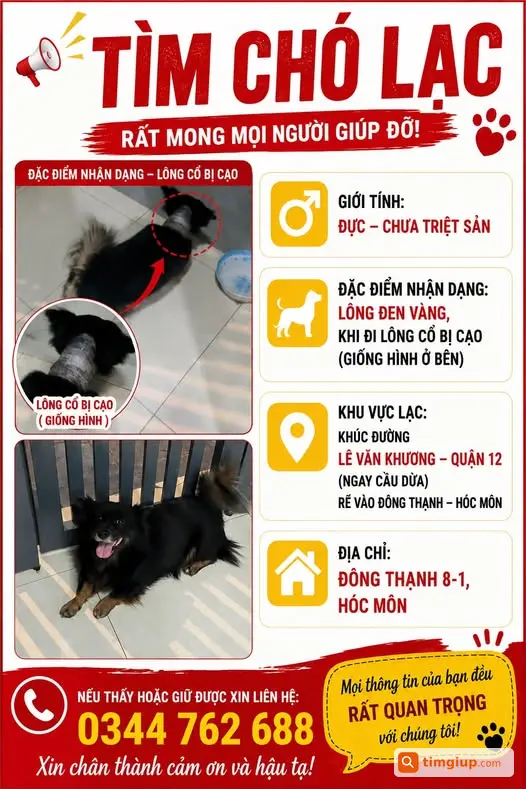 Chó Đực Đen Vàng Thất Lạc Tại Lê Văn Khương, Quận 12