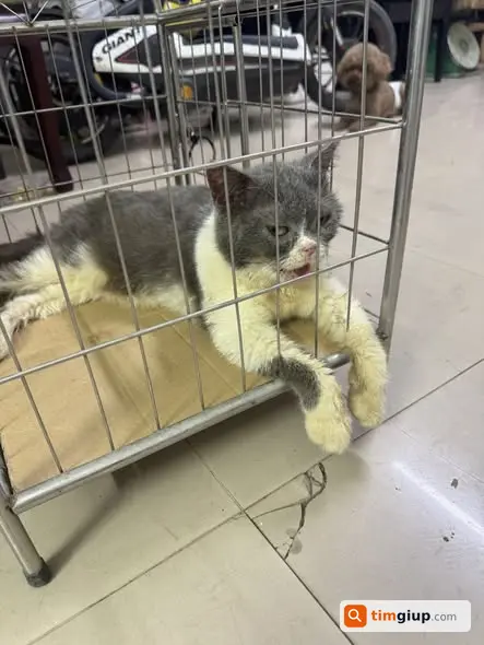 Ảnh 5