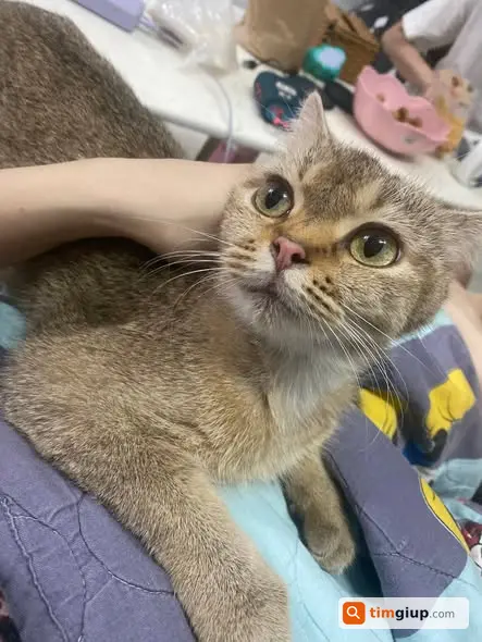 Ảnh 2