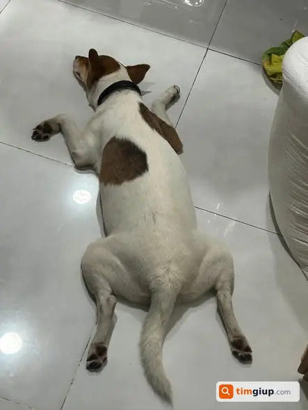 Ảnh 4