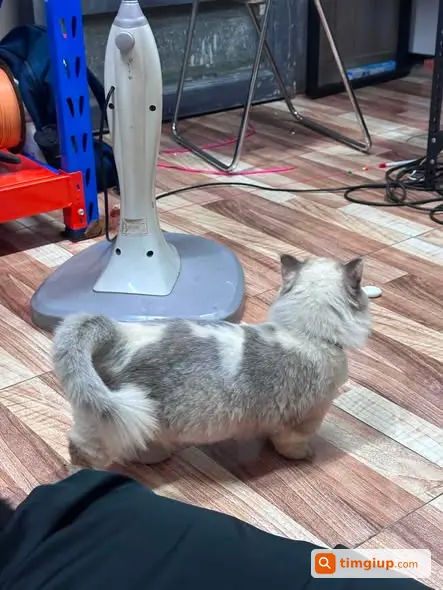 Ảnh 3