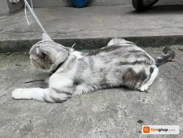 Ảnh 3