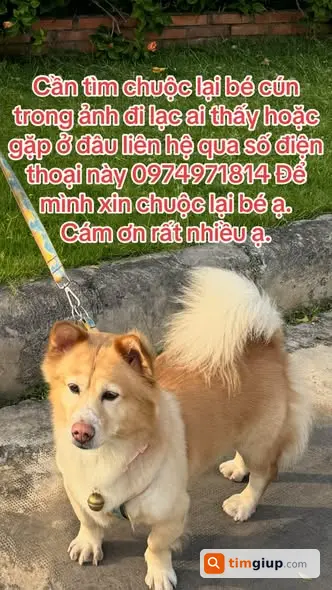Ảnh 5