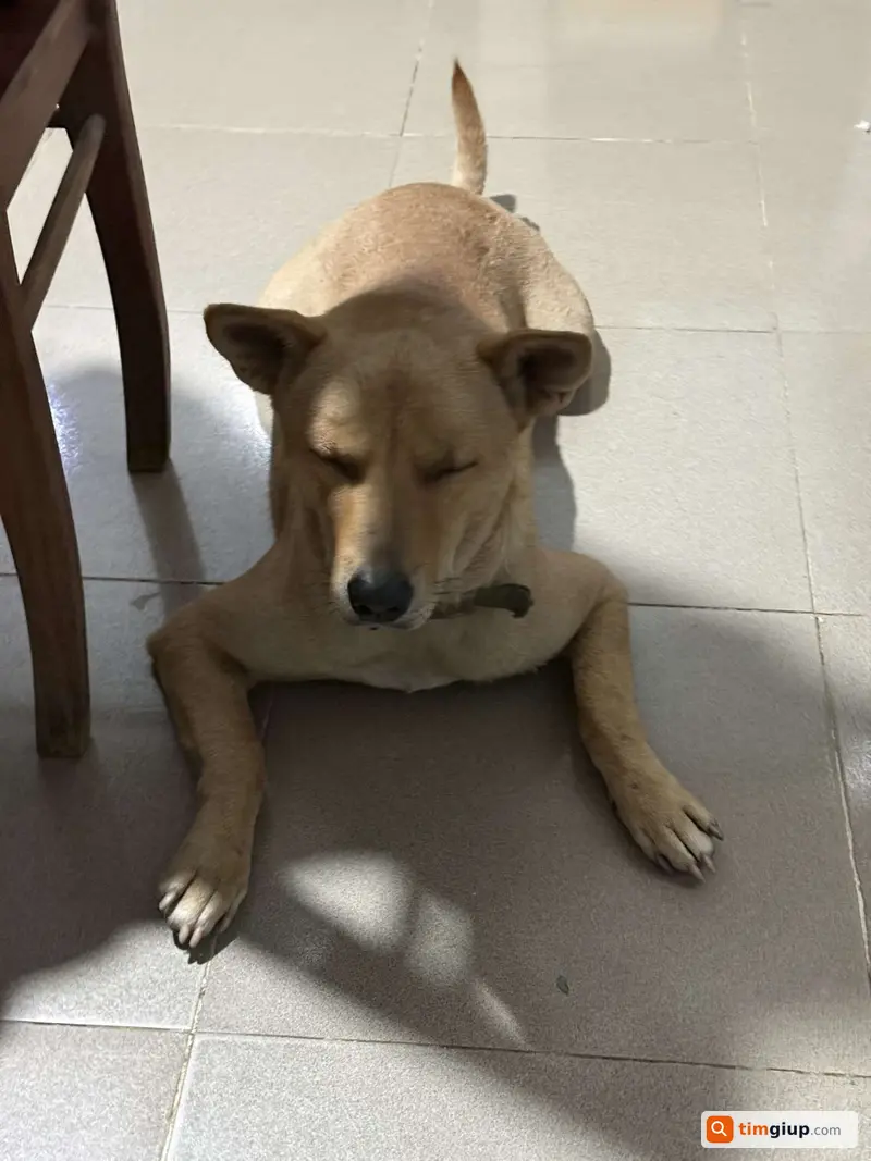 Ảnh 2