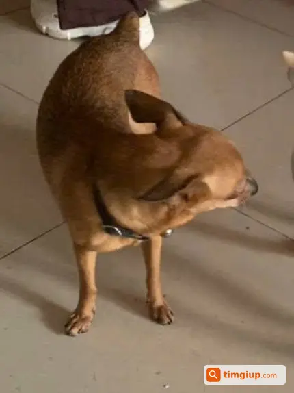 Ảnh 2