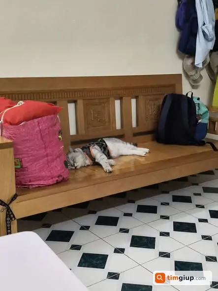 Ảnh 3