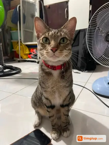Ảnh 2
