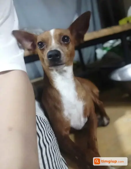 Ảnh 3