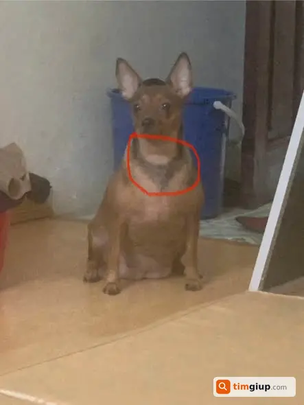 Ảnh 2